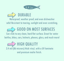 Load image into Gallery viewer, Alligator Summer Vintage Wade Pool, Vinyl Sticker