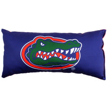 Load image into Gallery viewer, blue pillow with colorful gator logo
