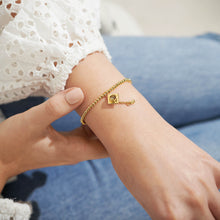 Load image into Gallery viewer, A Little 'Graduation' Bracelet in Gold-Tone Plating (Cap)