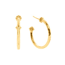 Load image into Gallery viewer, Capucine de Wulf Berry Slice Medium Hoop Earrings Gold