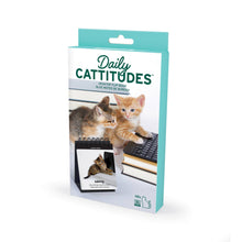 Load image into Gallery viewer, Daily Cattitudes - Desk Flipchart box