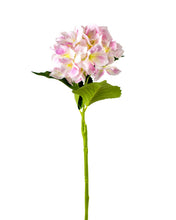 Load image into Gallery viewer, Hydrangea Stems - 27.5"