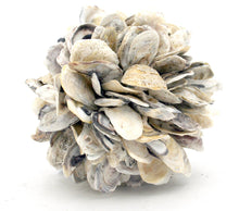 Load image into Gallery viewer, Oyster Shell Ball Sphere