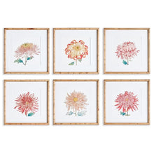 Load image into Gallery viewer, COLORFUL CHRYSANTHEMUM PRINTS, SET OF 6
