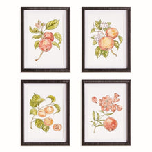 Load image into Gallery viewer, AUTUMNAL FRUIT PRINTS, SET OF 4