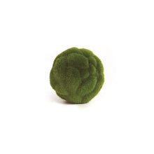 Load image into Gallery viewer, MOOD MOSS ORB 4"