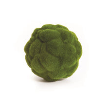 Load image into Gallery viewer, MOOD MOSS ORB 5.5"