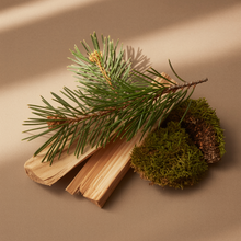 Load image into Gallery viewer, barkm pine and moss