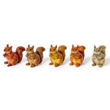 Load image into Gallery viewer, Five squirrel figurines of varying colors arranged in a row on a white background