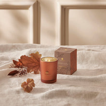Load image into Gallery viewer, Thymes Pumpkin Laurel 2oz Votive Candle