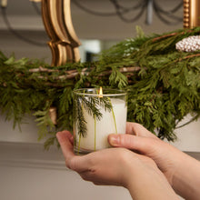 Load image into Gallery viewer, Thymes Frasier Fir Poured Pine Needle Design Candle - 6.5 oz