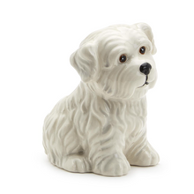 Load image into Gallery viewer, Pick Me Dog Pick Holder with 20 Picks