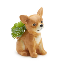 Load image into Gallery viewer, Pick Me Dog Pick Holder with 20 Picks