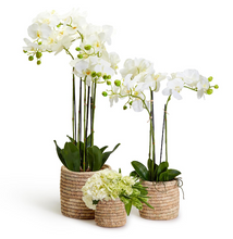 Load image into Gallery viewer, Date Leaf Cachepots with flowers
