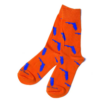 Load image into Gallery viewer, Florida Socks UF