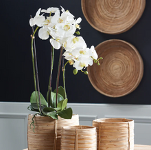 Load image into Gallery viewer, Phalaenopsis Orchid Drop-in - White