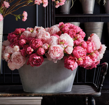 Load image into Gallery viewer, Peony 21" - Bundle of 3