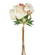 Load image into Gallery viewer, Peony 21" - Bundle of 3