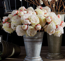 Load image into Gallery viewer, Peony 21" - Bundle of 3