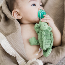 Load image into Gallery viewer, Paci-Plushies Buddies - Alli Alligator