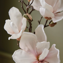 Load image into Gallery viewer, pink Magnolia flowers