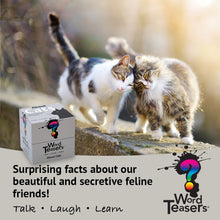 Load image into Gallery viewer, Word Teasers - About Cats