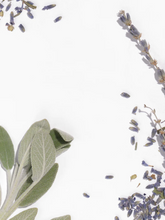 Load image into Gallery viewer, Archipelago Botanicals Lavende Pura Diffuser Refill