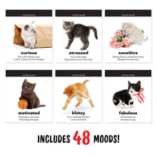 Load image into Gallery viewer, Daily Cattitudes Desk Flipchart pages showing moods
