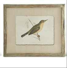Load image into Gallery viewer, Patina Bois Wood Framed Bird
