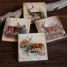 Load image into Gallery viewer, Vintage Deer Stone Coasters - Single
