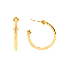 Load image into Gallery viewer, Capucine de Wulf Berry Slice Medium Hoop Earrings Gold
