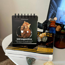 Load image into Gallery viewer, Daily Cattitudes - Desk Flipchart introspective mood
