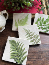 Load image into Gallery viewer, Ferns Stone Coasters - Assorted Fern Designs - Single
