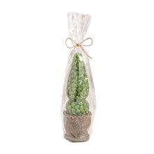 Load image into Gallery viewer, Topiary Candle tall
