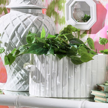 Load image into Gallery viewer, Faux Bamboo Oval Centerpiece / Cachepot with Handles with a plant
