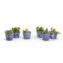 Load image into Gallery viewer, Canton Collection Mini Cachepot - Single
