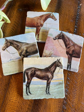 Load image into Gallery viewer, Vintage Horse Illustration Stone Coasters - Assorted Horse Designs - Single
