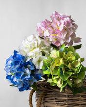 Load image into Gallery viewer, Hydrangea Stems - 27.5"
