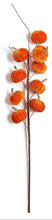 Load image into Gallery viewer, Pumpkin Branch orange
