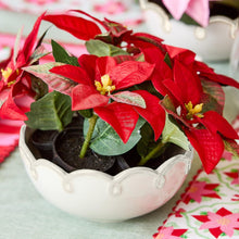 Load image into Gallery viewer, Festive Flower Market Set of 3 Poinsettias
