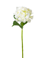 Hydrangea Stems - 27.5