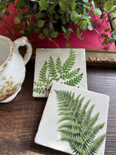 Load image into Gallery viewer, Ferns Stone Coasters - Assorted Fern Designs - Single
