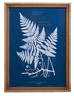 Nature's Blueprints Framed Wall Art - 28