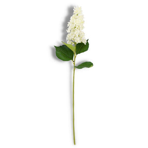 White Cone Hydrangea Stem - 38.5 Inch
