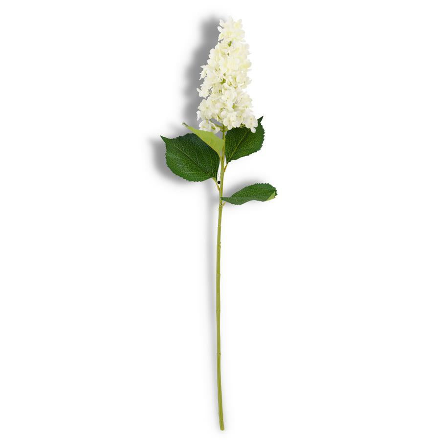 White Cone Hydrangea Stem - 38.5 Inch