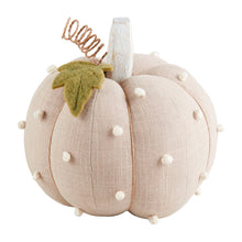 Load image into Gallery viewer, French Knot Stuffed Pumpkins
