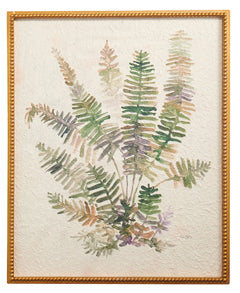 Fern Framed Wall Art 28"