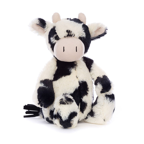 Black and white Bashful Calf