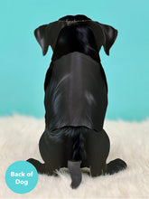 Load image into Gallery viewer, Black Lab Pop-Up Greeting Card
