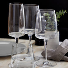 Load image into Gallery viewer, Casafina Vine Water Glass - Clear
